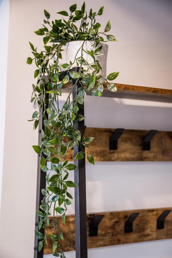 Dajwor Residence Jewish Quarter Wawelofts Krakow Ngoại thất bức ảnh
